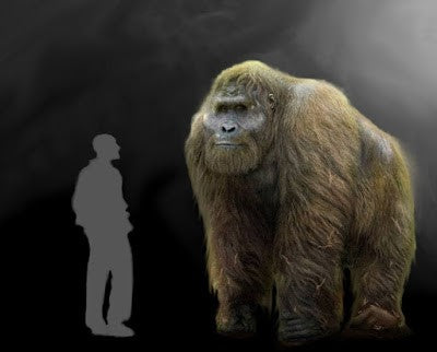 The Yeti From 1 Million Years Ago
