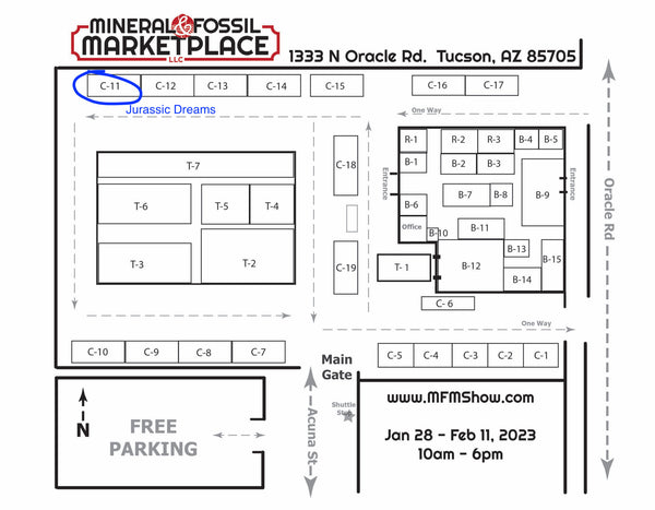 JURASSIC DREAMS will be present at the Tucson Mineral & Fossil Marketplace Jan 28 to Feb 11 - 2023