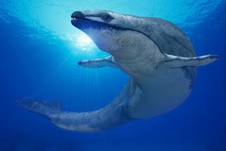 Basilosaurus: The Giant Snake.
