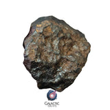 30000 - Complete NWA Unclassified Ordinary Chondrite Meteorite 307 g Individual IN CATAWIKI AUCTION NOW