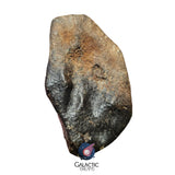 30002- Nice NWA Unclassified Ordinary Chondrite Meteorite 282 g Complete Individual IN CATAWIKI AUCTION NOW