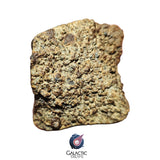 30010 - Complete NWA Unclassified Ordinary Chondrite Meteorite 285 g Individual