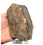 S78 -  "NWA 17599" MAIN MASS Fresh Eucrite (unbrecciated) HED Achondrite Meteorite 1280g