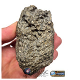 S101 - "NWA 17660" Eucrite Polymict HED Achondrite Meteorite MAIN MASS 227g