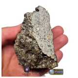 S101 - "NWA 17660" Eucrite Polymict HED Achondrite Meteorite MAIN MASS 227g