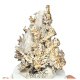 J04 - Astonishing Dendritic Allargentum Silver after Dyscrasite in Calcite Matrix