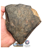 S78 -  "NWA 17599" MAIN MASS Fresh Eucrite (unbrecciated) HED Achondrite Meteorite 1280g