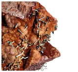 S206 - Top Rare Unusual Gohetite Geode with Astonishing Prismatic Columnar Pyrolusite Crystals