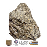 S101 - "NWA 17660" Eucrite Polymict HED Achondrite Meteorite MAIN MASS 227g