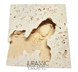 J51 - Finest Quality Fossil Crab (Potamon) Preserved in Travertine - Turkey Location