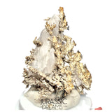 J04 - Astonishing Dendritic Allargentum Silver after Dyscrasite in Calcite Matrix