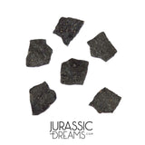 J215 - Unusual Unidentified Dinosaur Set of 6 Egg Shells - Upper Jurassic - "The Young Locality" Morrison Fm