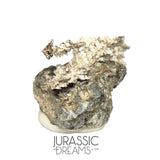 J05 - Astonishing Dendritic Allargentum Silver after Dyscrasite in Matrix