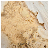 J228 - Finest Quality Fossil Crab (Potamon) Preserved in Travertine - Turkey Location