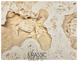 J381 - Finest Quality Fossil Crab (Potamon) Preserved in Travertine - Turkey Location