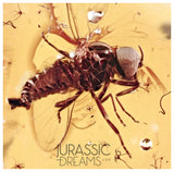 J21 - SUPERB Simuliidae BLACKFLY Fossil Inclusion Genuine BALTIC AMBER + HQ Picture