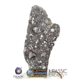 S308 - Outstanding "NWA 17679" Lunar Meteorite (feldspathic breccia) Part Slice 3,5g