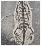 S138 - Nice Keichousaurus hui Early Triassic Marine Reptile WITH PRESERVED TEETH