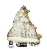 S274 - "The Apollo Lunar" Meteorite Part Slice "Gadamis 008" Lunar ferroan anorthosite 0,40g