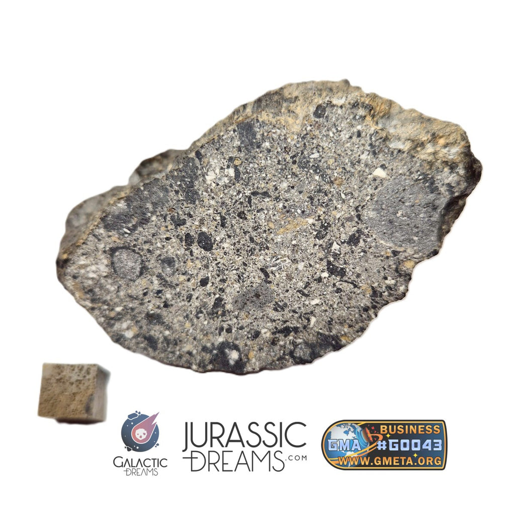 S100 - "NWA 17660" Eucrite Polymict HED Achondrite Meteorite Half Stone 154g