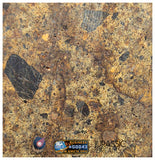 S276 - "NWA 14917" Diogenite Polymict Meteorite Large thick Slice HED Achondrite 26,4g