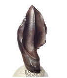 J430 - Finest Quality Large Triceratops horridus three-horned Dinosaur Tooth - Late Cretaceous - Lance Fm