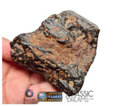 S195 - "NWA 17596" MAIN MASS Ordinary Chondrite Type LL3 Meteorite 249g