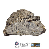 S101 - "NWA 17660" Eucrite Polymict HED Achondrite Meteorite MAIN MASS 227g