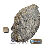 S100 - "NWA 17660" Eucrite Polymict HED Achondrite Meteorite Half Stone 154g