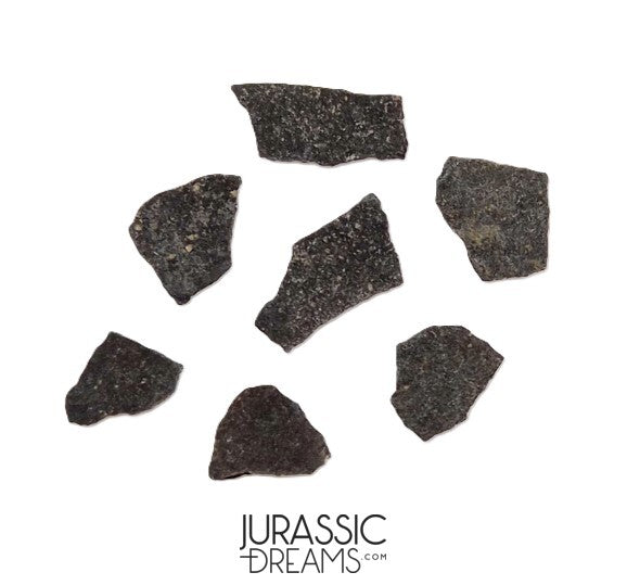 J280 - Unusual Unidentified Dinosaur Set of 7 Egg Shells - Upper Jurassic - "The Young Locality" Morrison Fm