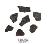 J280 - Unusual Unidentified Dinosaur Set of 7 Egg Shells - Upper Jurassic - "The Young Locality" Morrison Fm
