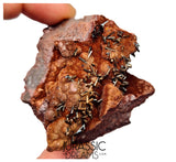 S206 - Top Rare Unusual Gohetite Geode with Astonishing Prismatic Columnar Pyrolusite Crystals