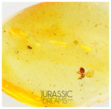 J12 - Great CHALCID WASP Chalcidoidea Fossil Inclusion Genuine BALTIC AMBER + HQ Picture