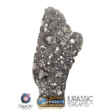 S308 - Outstanding "NWA 17679" Lunar Meteorite (feldspathic breccia) Part Slice 3,5g