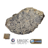 S100 - "NWA 17660" Eucrite Polymict HED Achondrite Meteorite Half Stone 154g