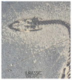 S138 - Nice Keichousaurus hui Early Triassic Marine Reptile WITH PRESERVED TEETH