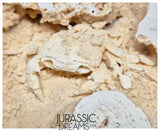 J381 - Finest Quality Fossil Crab (Potamon) Preserved in Travertine - Turkey Location