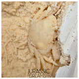 J228 - Finest Quality Fossil Crab (Potamon) Preserved in Travertine - Turkey Location