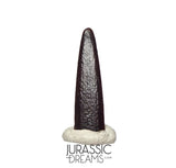 S414 - Top Pristine Nigersaurus taqueti Rebbachisaurid Sauropod Dinosaur Tooth