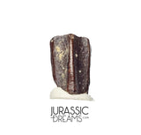 J412 - Nicely Preserved Edmontosaurus Hadrosaurid "duck-billed" Ornithopod Dinosaur Tooth - Hell Creek Fm