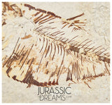 S301 - Nicely Preserved "Diplomystus dentatus" Fossil Fishs - Eocene Age from USA