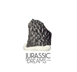 J295 - Top Rare Unidentified Theropod Dinosaur Egg Shell - Late Cretaceous Two Medicine Fm