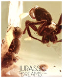 J332 - Museum Grade Large SPIDER & VELVET ANT Rare MUTILLIDAE Fossil Inclusion Genuine BALTIC AMBER + HQ Picture