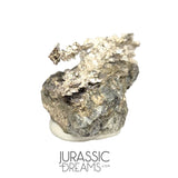 J05 - Astonishing Dendritic Allargentum Silver after Dyscrasite in Matrix