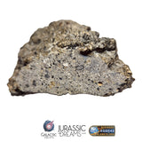 S101 - "NWA 17660" Eucrite Polymict HED Achondrite Meteorite MAIN MASS 227g