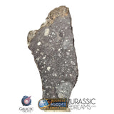 S308 - Outstanding "NWA 17679" Lunar Meteorite (feldspathic breccia) Part Slice 3,5g