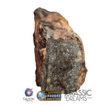 S195 - "NWA 17596" MAIN MASS Ordinary Chondrite Type LL3 Meteorite 249g