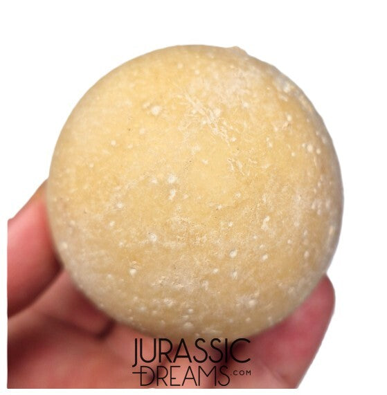 J339 - Rare Fossil Egg of Giant Tortoise Aldabrachelys abrupta - Holocene from Madagascar