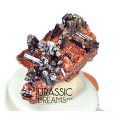 S298 - Top Rare Unusual Gohetite Partial Geode with Astonishing Prismatic Columnar Pyrolusite Crystals