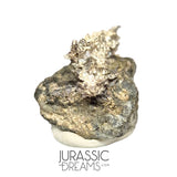 J05 - Astonishing Dendritic Allargentum Silver after Dyscrasite in Matrix